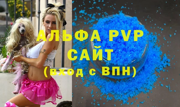 гашик Белокуриха