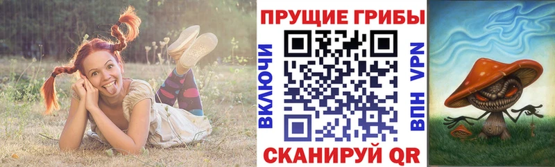 ОМГ ОМГ вход наркошоп Томмот Псилоцибиновые грибы Cubensis